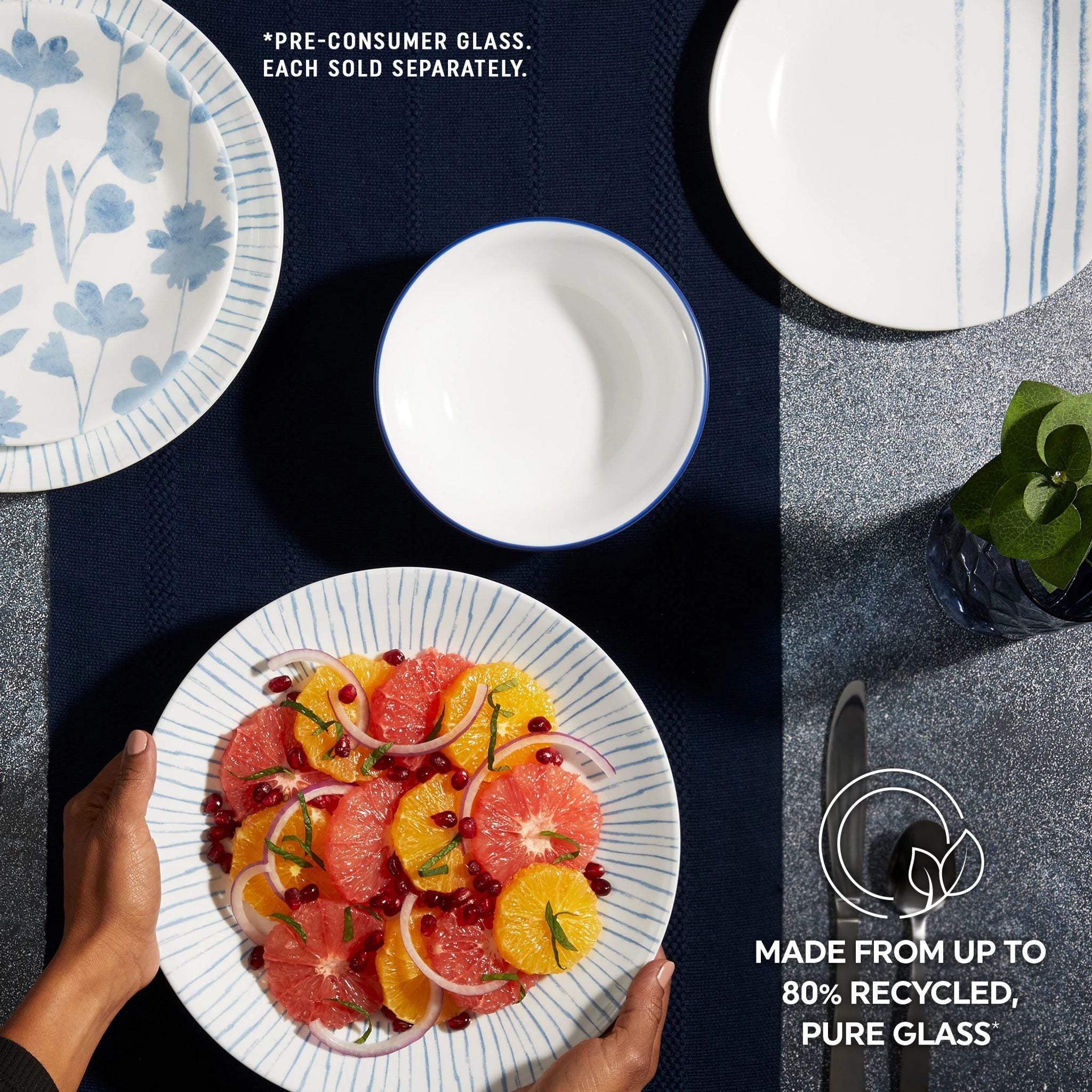 CO_1146963_BotanicalStripes_Dinner-Plate_ATF_Square_Tile6